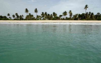 Nilaveli Beach Hotel Traveller Reviews