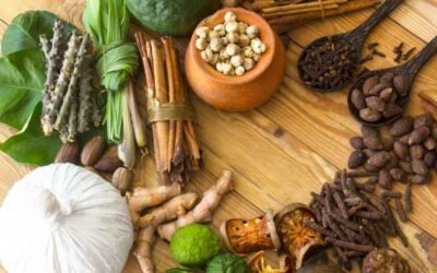 Healing Body and Mind: Ayurvedic Wellness Retreats in Ulpotha, Sri Lanka