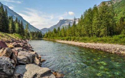 Camping in the Majestic Glacier National Park, Montana