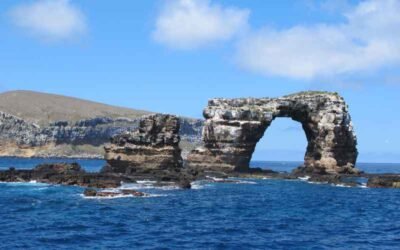 A Scuba Diver’s Experience at Darwin’s Arch, Galápagos