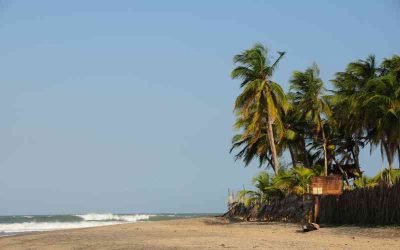 How to surf like a pro in Arugam Bay?