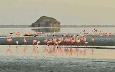 Discovering the hidden gems of Lake Natron region