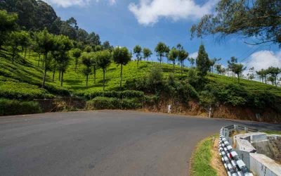 Tawalantenne: A Scenic Drive Through Sri Lanka’s Tea Country