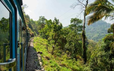 Ella to Kandy: A Scenic First Class Train Ride