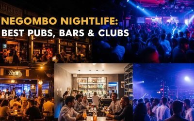 Your Guide to the Best Pubs, Bars & Nightclubs in Negombo