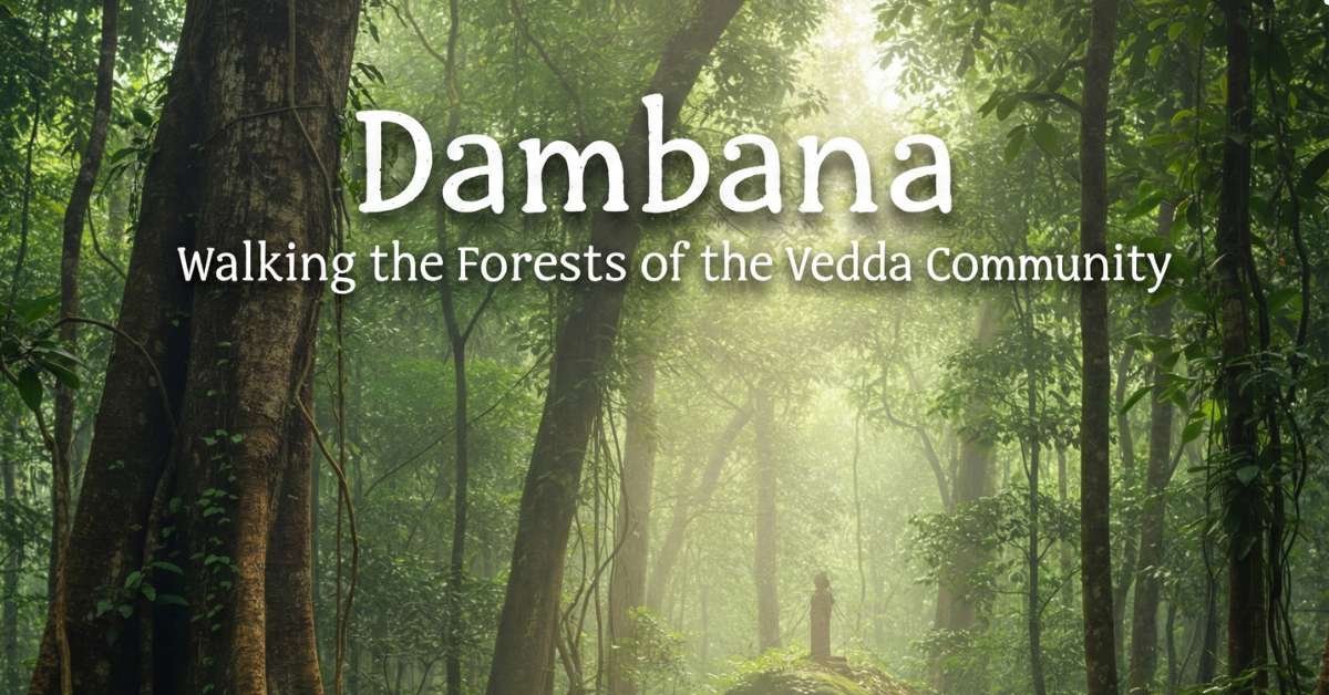 A serene, sun-drenched forest in Dambana, Sri Lanka, with a title overlay reading "Dambana: Walking the Forests of the Vedda Community." Light beams through a dense canopy of ancient trees onto a small figure standing on a moss-covered rock in the distance.