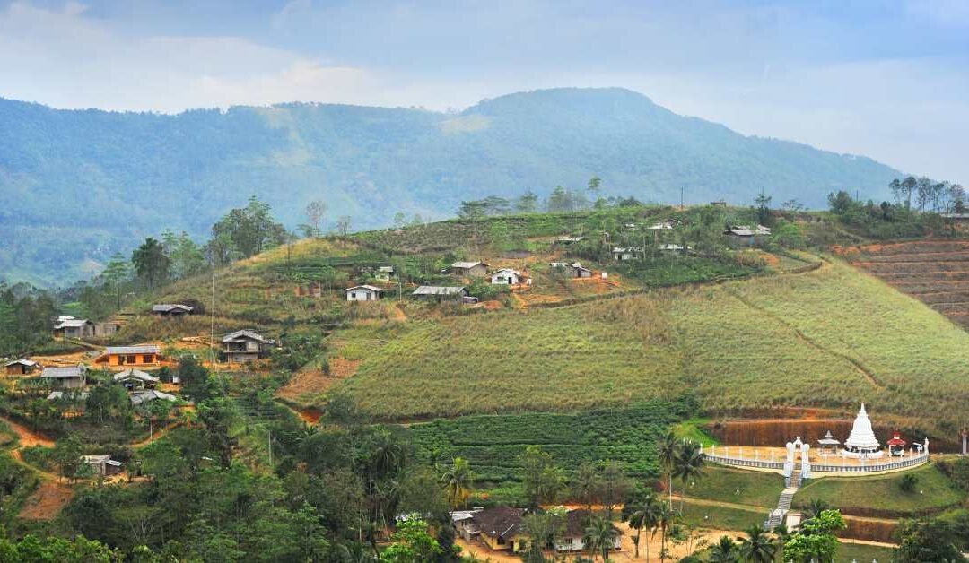 Village Gossip, Community News & the Role of the Boutique