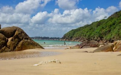 Jaffna’s Outer Islands: Delft Island and Nainativu