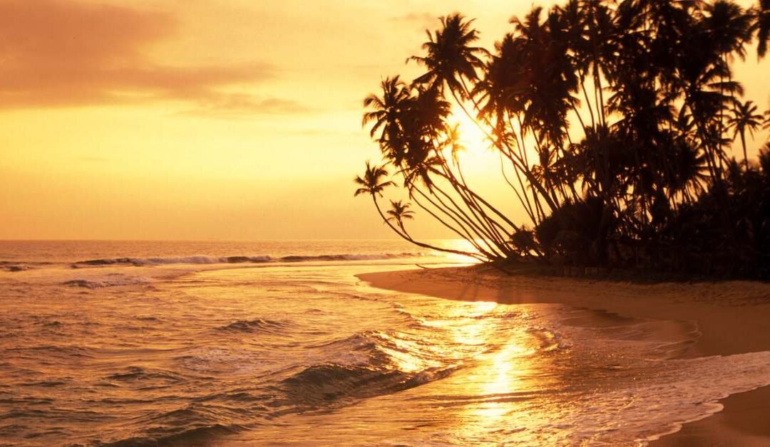 Silavathurai: War History, Wild Beaches, and Wind-Carved Ruins