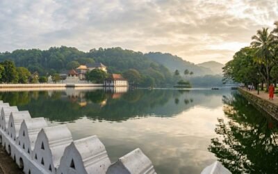 The Sea of Milk: A Morning at Kandy Lake