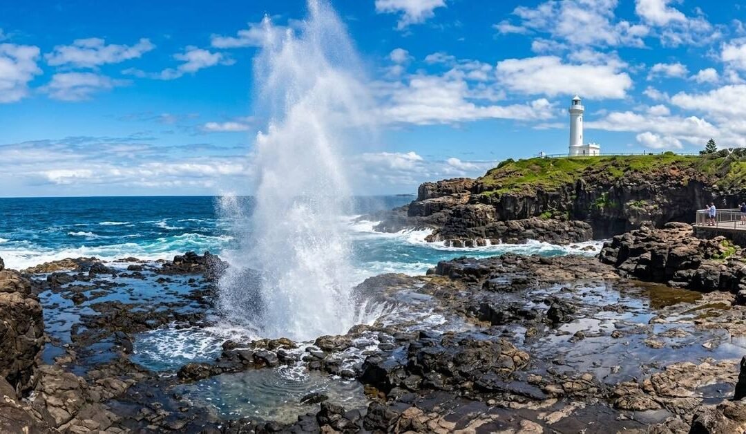 Day Trip to Kiama Blowhole from Sydney: What to Know