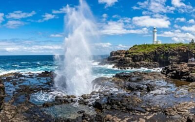 Day Trip to Kiama Blowhole from Sydney: What to Know