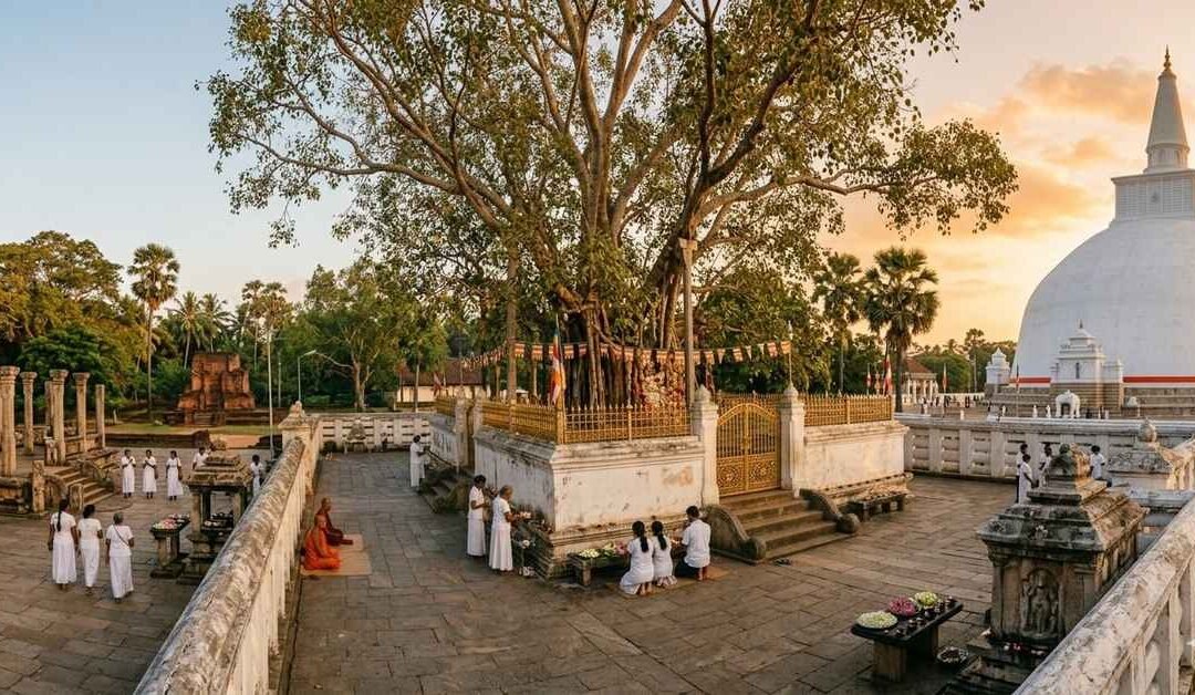 Under the Branches of Time: A Journey to Anuradhapura’s Jaya Sri Maha Bodhi