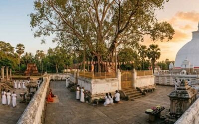 Under the Branches of Time: A Journey to Anuradhapura’s Jaya Sri Maha Bodhi