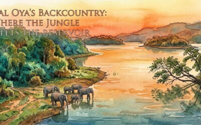 Gal Oya’s Backcountry: Where the Jungle Meets the Reservoir