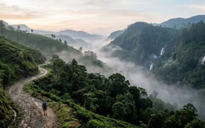 Rakwana’s Deep South Highlands: Waterfalls, Rainforests, and Isolation