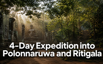 4-Day Expedition into Polonnaruwa and Ritigala 