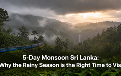 5-Day Monsoon Sri Lanka: Why the Rainy Season is the Right Time to Visit