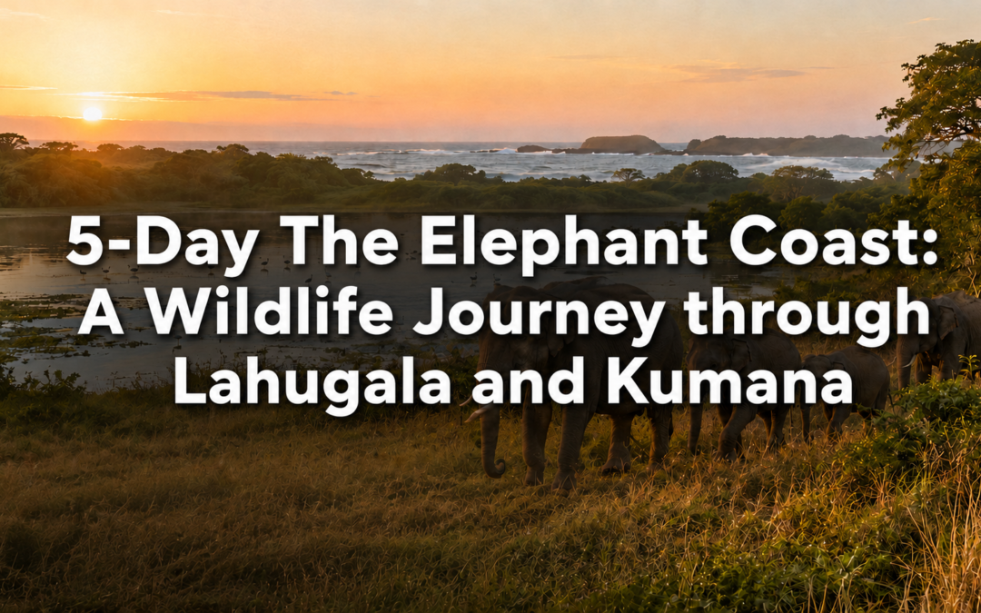 5-Day The Elephant Coast: A Wildlife Journey through Lahugala and Kumana
