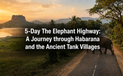 5-Day The Elephant Highway: A Journey through Habarana and the Ancient Tank Villages