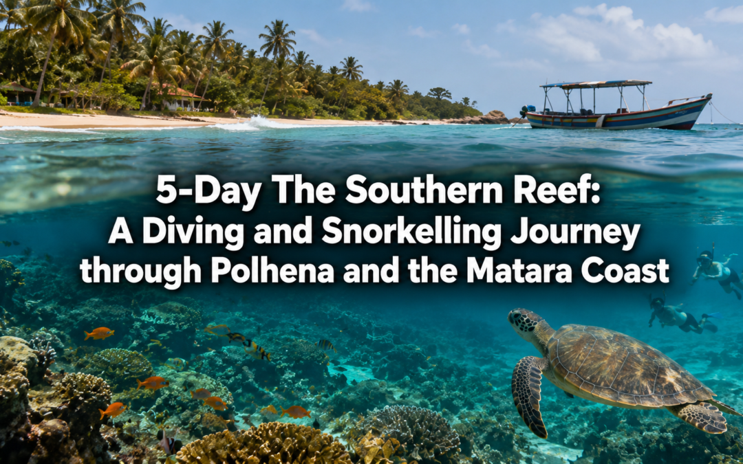 5-Day The Southern Reef: A Diving and Snorkelling Journey through Polhena and the Matara Coast