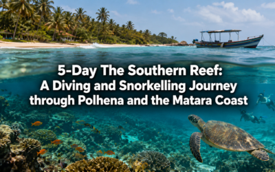 5-Day The Southern Reef: A Diving and Snorkelling Journey through Polhena and the Matara Coast