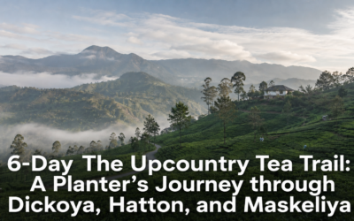 6-Day The Upcountry Tea Trail: A Planter’s Journey through Dickoya, Hatton, and Maskeliya
