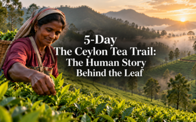 5-Day The Ceylon Tea Trail: The Human Story Behind the Leaf