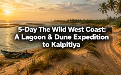 5-Day The Wild West Coast: A Lagoon & Dune Expedition to Kalpitiya