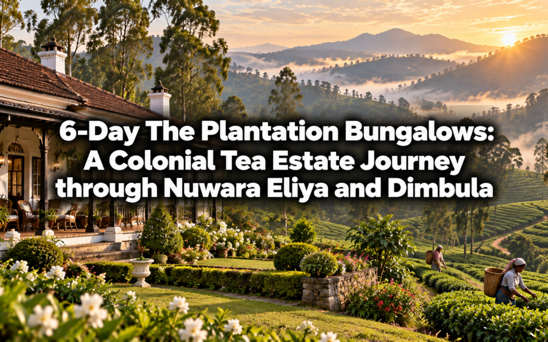 6-Day The Plantation Bungalows: A Colonial Tea Estate Journey through Nuwara Eliya and Dimbula