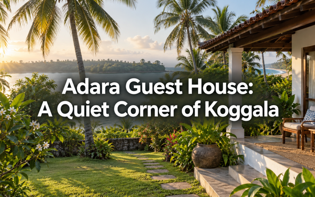 Adara Guest House: A Quiet Corner of Koggala