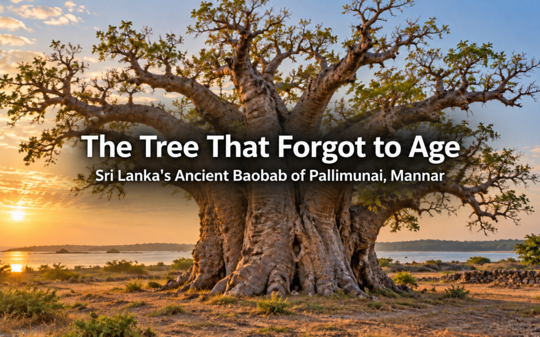 The Tree That Forgot to Age