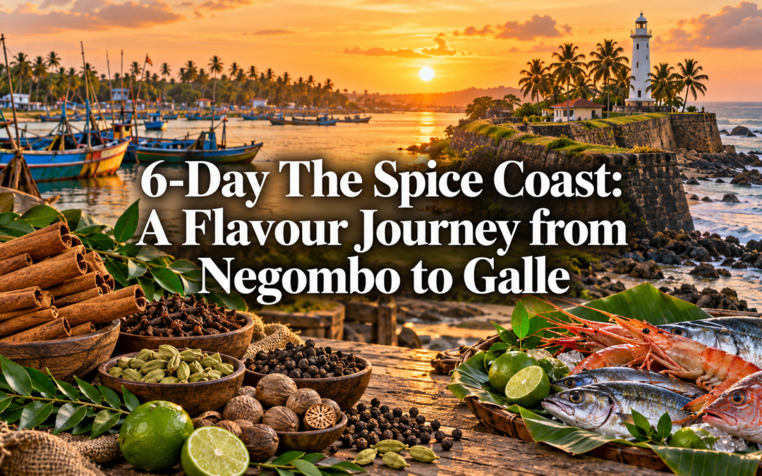 6-Day The Spice Coast: A Flavour Journey from Negombo to Galle
