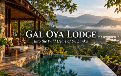 GAL OYA LODGE
