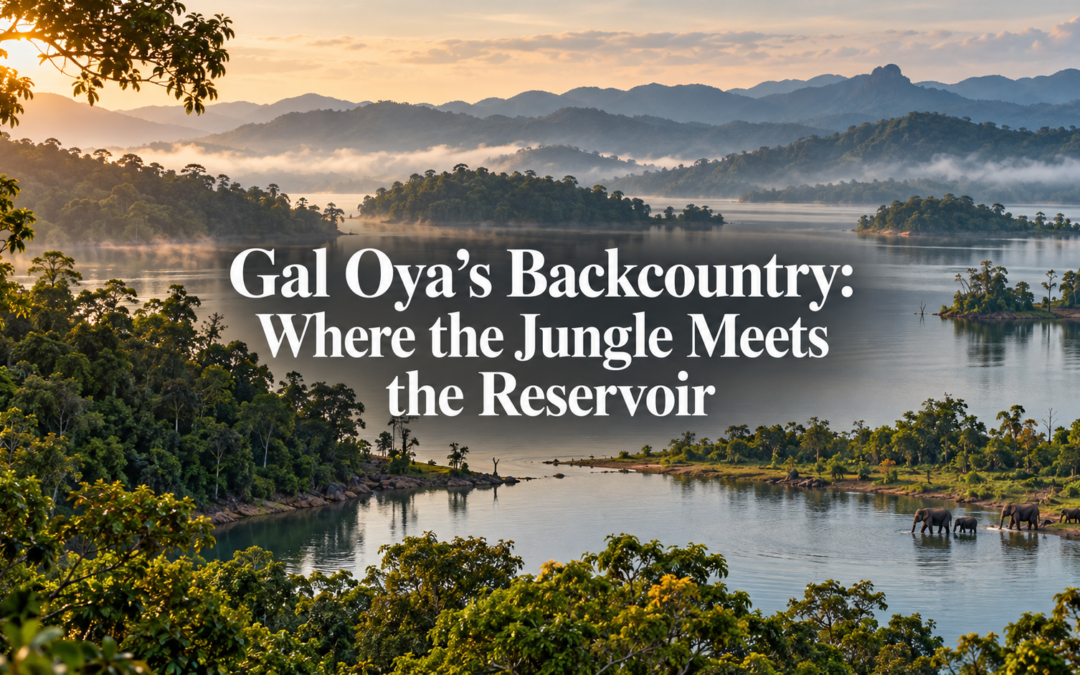Gal Oya’s Backcountry: Where the Jungle Meets the Reservoir