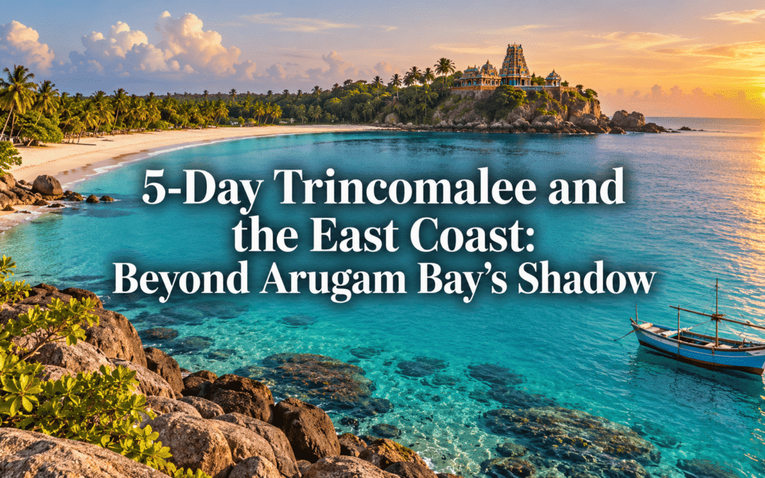 5-Day Trincomalee and the East Coast: Beyond Arugam Bay’s Shadow