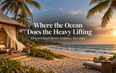 Where the Ocean Does the Heavy Lifting